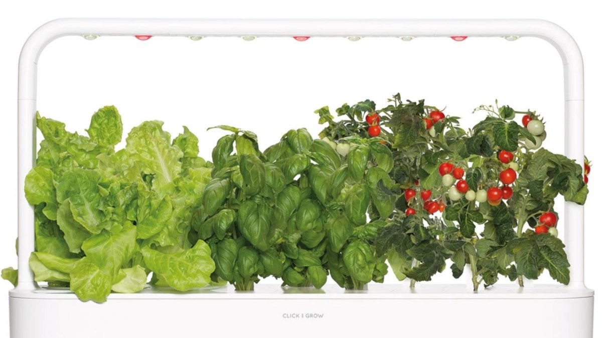 Un potager Click and grow. // Source : Click and grow