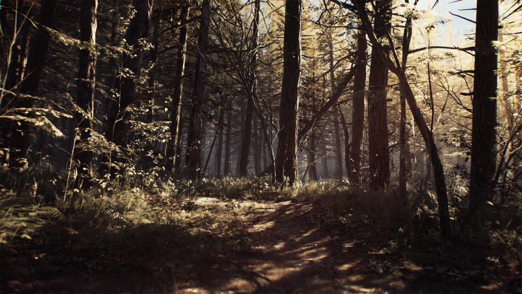 Blair Witch // Source : Bloober Team Blair Witch // Source : Bloober Team