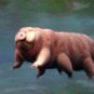 Tardigrado // Fonte: iStock/dottedhippo/Università di San Diego Tardigrado // Fonte: iStock/dottedhippo/Università di San Diego