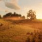 Red Dead Redemption 2 sur PC // Source : Rockstar Games Red Dead Redemption 2 sur PC // Source : Rockstar Games