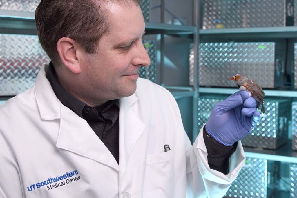 Le docteur Todd Roberts, qui dirige le laboratoire, en train d'examiner un diamant mandarin. // Source : UT Southwestern Medical Center