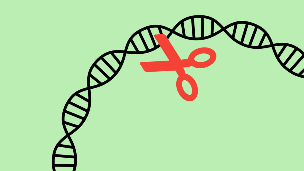 La méthode CRISPR s'apparente à un « ciseau génétique ». // Source : SVG SILH/CC0, Pixabay (montage Numerama)
