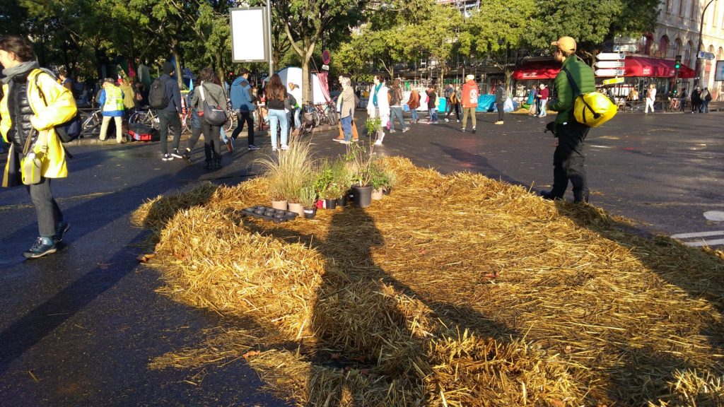 La ZAD se compose de plusieurs zones « naturelles » avec de la paille, des plantes, etc. // Source : Numerama