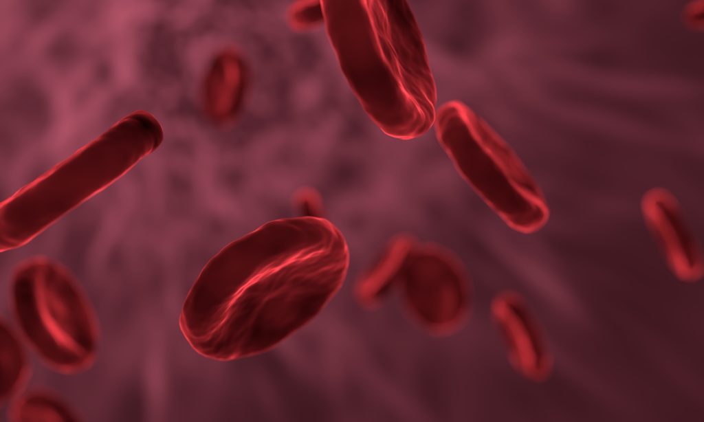 En haute altitude, la réponse physiologique au manque d'oxygène est la production supplémentaire de globules rouges. // Source : Pixabay