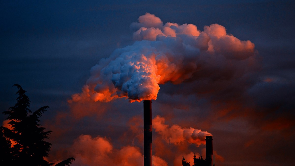 La pollution des industries sur l'environnement pourrait impacter, selon cette étude, les systèmes immunitaires de plusieurs générations successives.  // Source : Pixabay