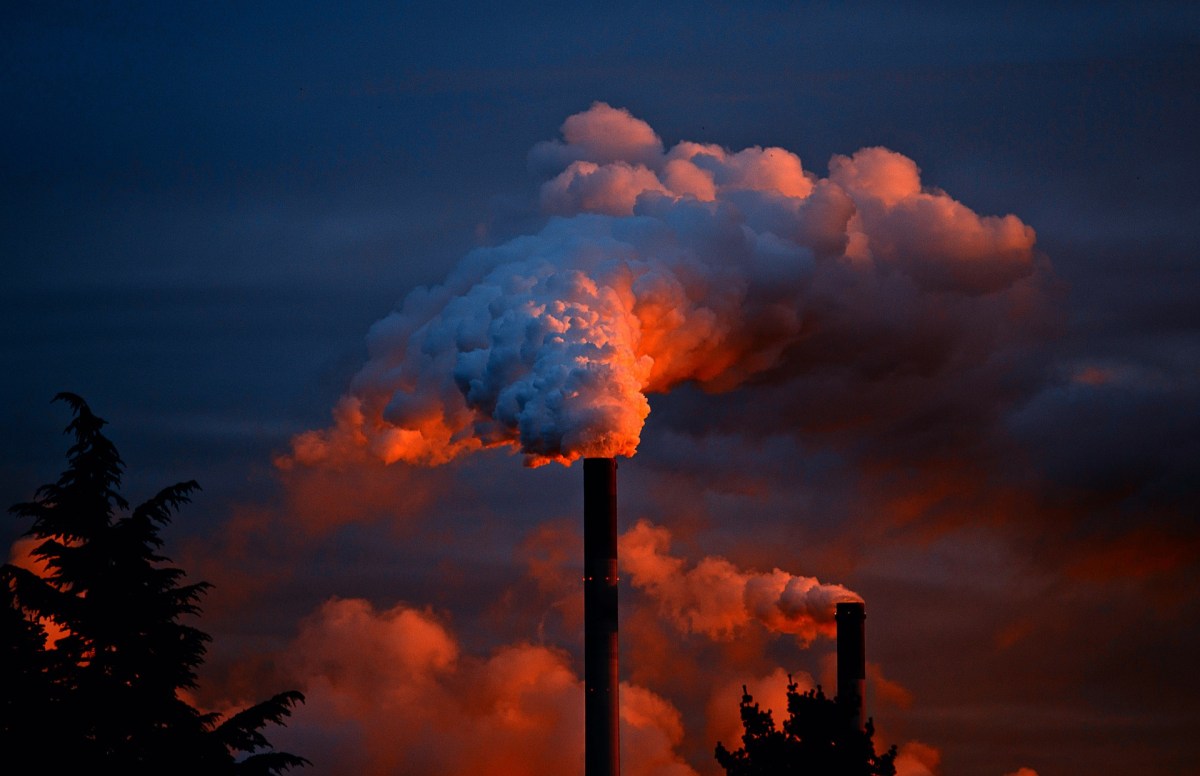 La pollution des industries sur l'environnement pourrait impacter, selon cette étude, les systèmes immunitaires de plusieurs générations successives.  // Source : Pixabay