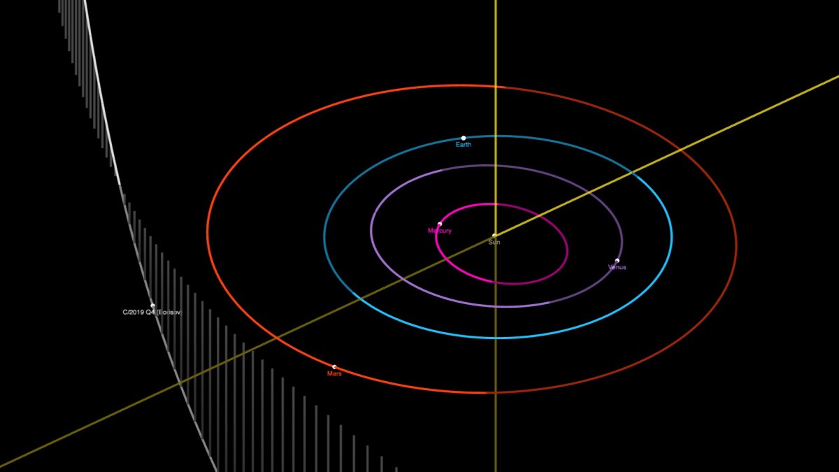 La position de Borisov dans le système solaire. // Source : Capture d'écran JPL Small-Body Database Browser