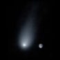 La comète Borisov comparée à la Terre. // Source : P. van Dokkum, G. Laughlin, C. Hsieh, S. Danieli/Yale University (photo recadrée et modifiée)