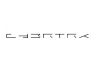 Le logo du  CYBRTRK // Source : Tesla