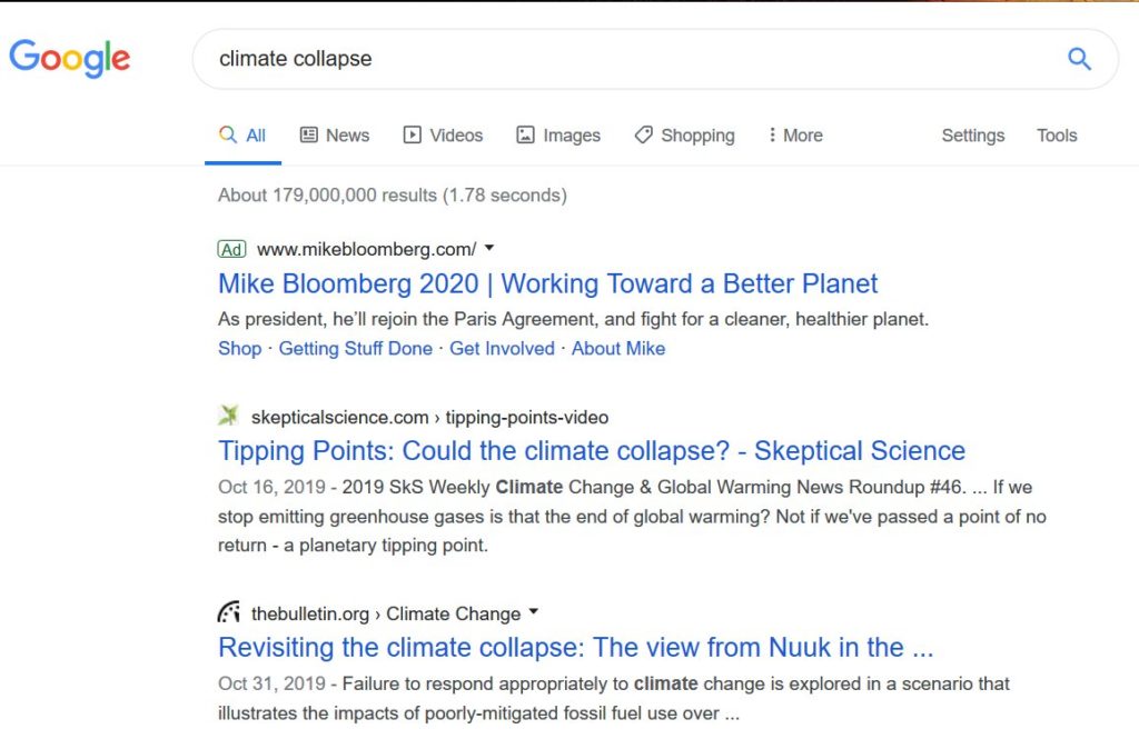 Une capture d'écran d'une recherche "effondrement climatique" sur Google US // Source : Twitter/WoobieTuesday