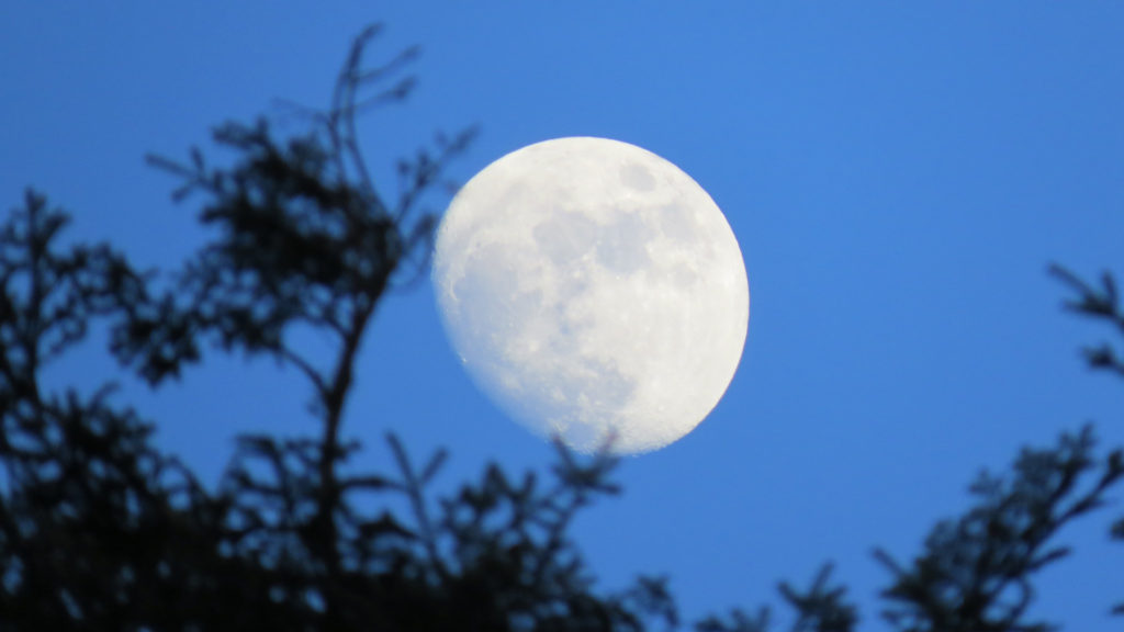 La Lune. // Source : Flickr/CC/ninfaj (photo recadrée)