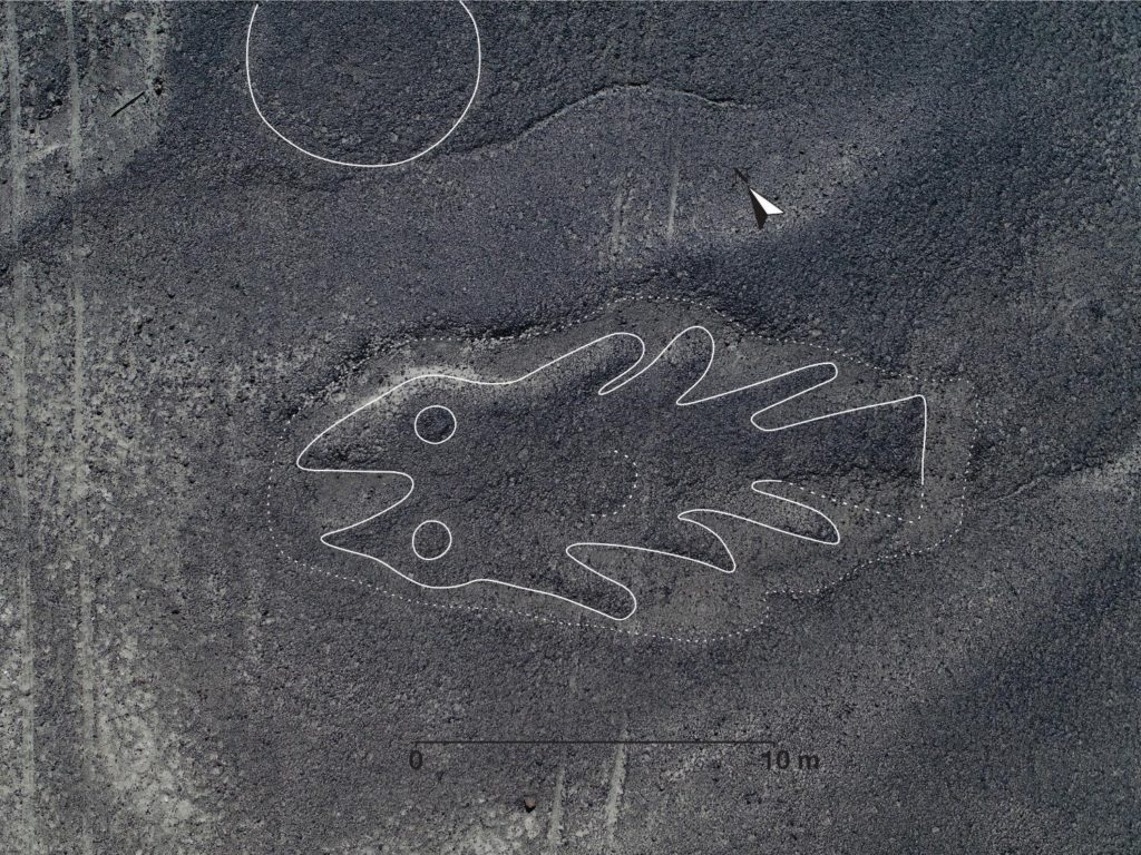 Les lignes de Nazca représentent souvent des animaux. Ici, c'est un poisson. // Source : Yamagata University