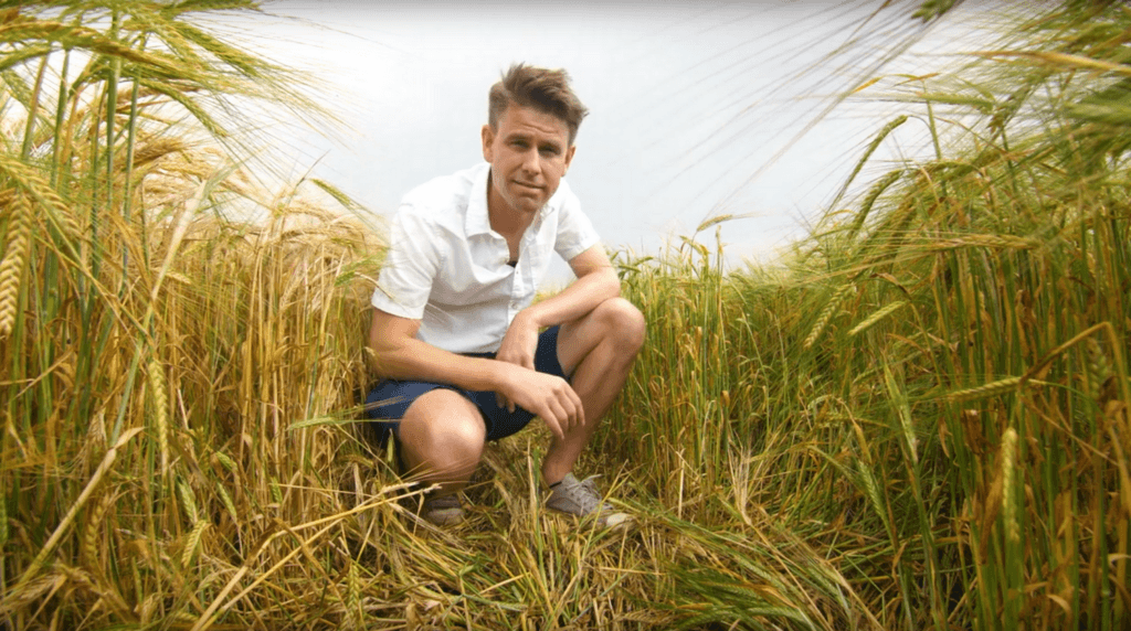 Matt Johnson, auteur de l'étude, dans un champs de blé : il pense que repenser la photosynthèse pourrait aider l'approvisionnement mondial. // Source : University of Sheffield