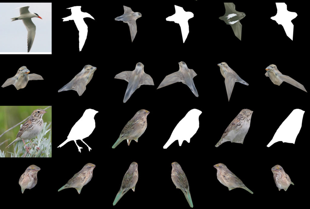 Des photos d'oiseaux transformés en objets en trois dimensions. // Source : Nvidia
