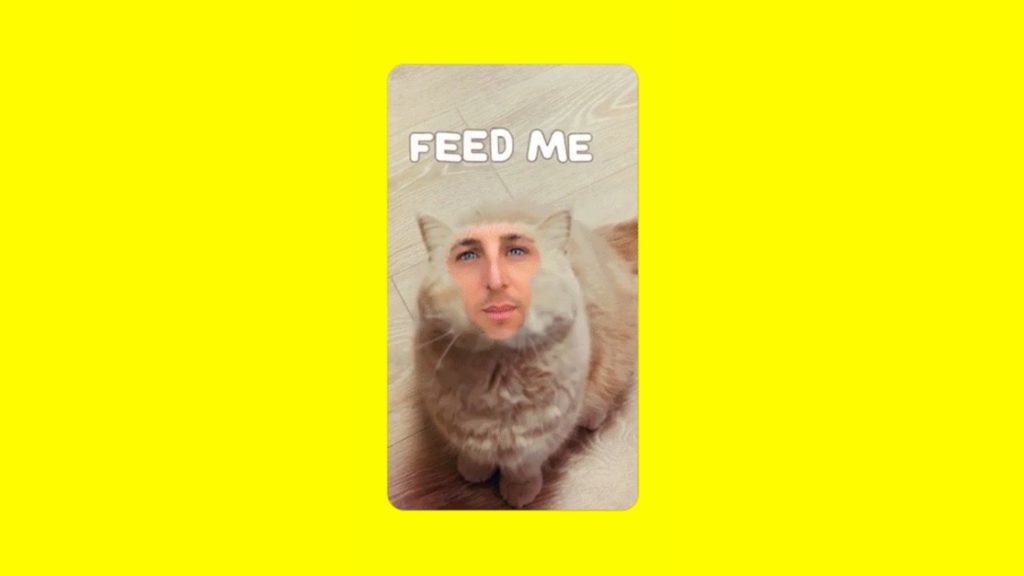 Oui, avec Cameos vous pourrez... mettre votre visage... sur des chats... // Source : Snapchat