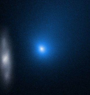 La comète interstellaire Borisov le 16 novembre 2019. // Source : NASA, ESA and D. Jewitt (UCLA) (photo recadrée)