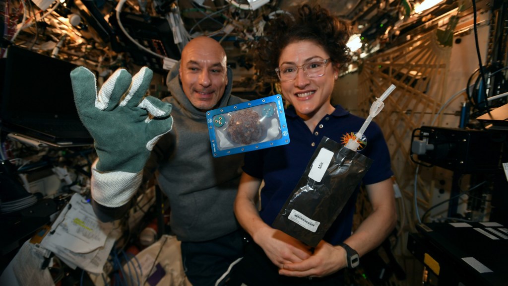 Les astronautes Luca Parmitano et Christina Koch. // Source : Twitter @Astro_Christina (photo recadrée)