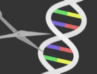 Le ciseau génétique CRISPR. // Source : Pixabay (montage Numerama)