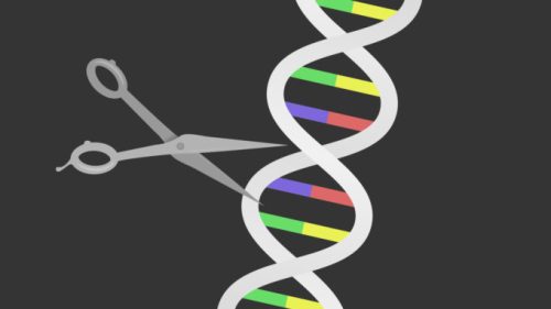 Le ciseau génétique CRISPR. // Source : Pixabay (montage Numerama)