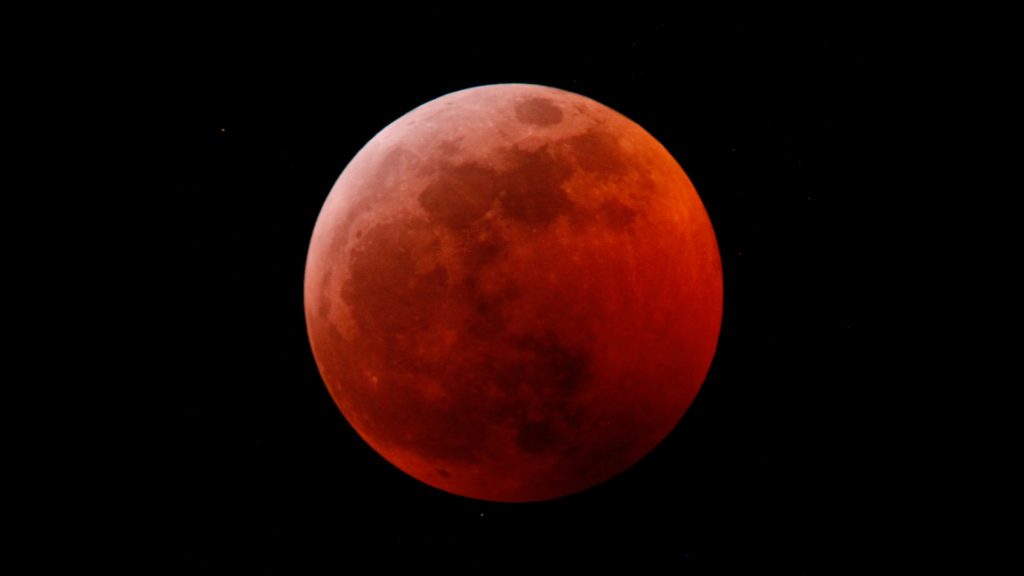 L'éclipse lunaire du 20 janvier 2019. // Source : Wikimedia/CC/Shayne Kaye (photo recadrée)