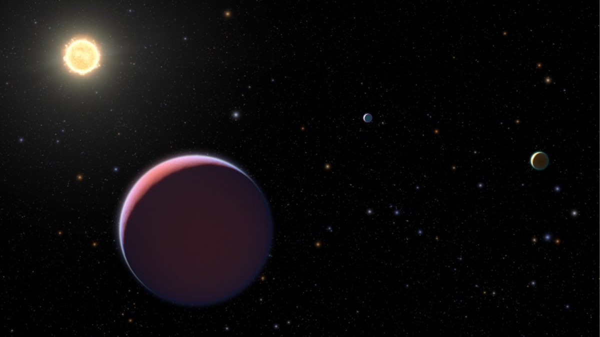 La composition de deux exoplanètes est comparée à la barbe à papa. // Source : University of Colorado Boulder