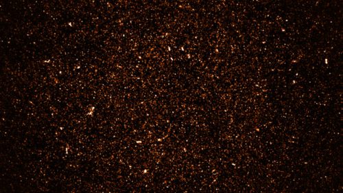 Cette image contient des milliers de galaxies. // Source : SARAO; NRAO/AUI/NSF (photo recadrée)