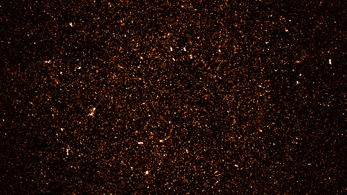 Cette image contient des milliers de galaxies. // Source : SARAO; NRAO/AUI/NSF (photo recadrée)