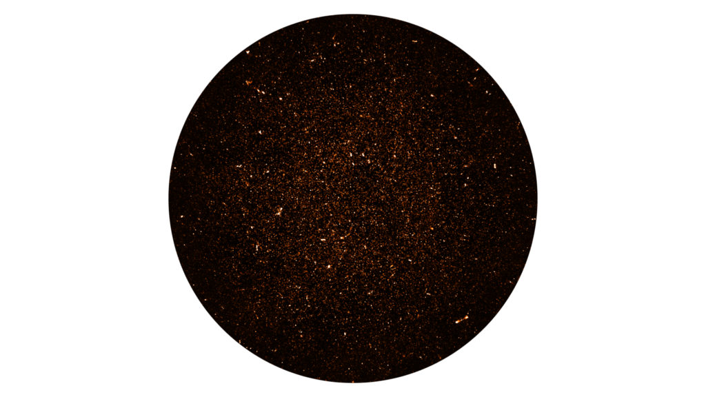 L'image des milliers de galaxies. // Source : SARAO; NRAO/AUI/NSF (photo recadrée)