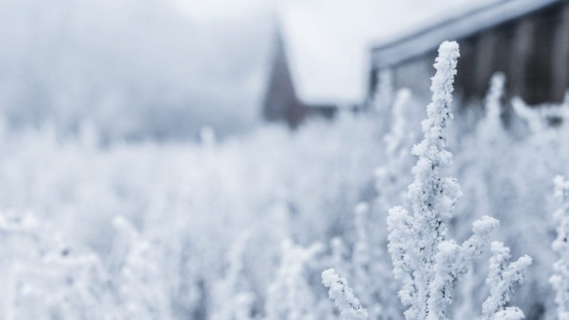 La neige n’est pas blanche par hasard