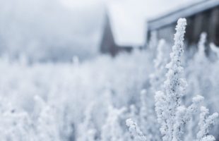 Le solstice d'hiver tombe le 22 décembre 2019. // Source : Pxhere/CC0 Domaine public (photo recadrée)