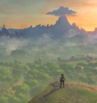 The Legend of Zelda : Breath of the Wild // Source : Nintendo