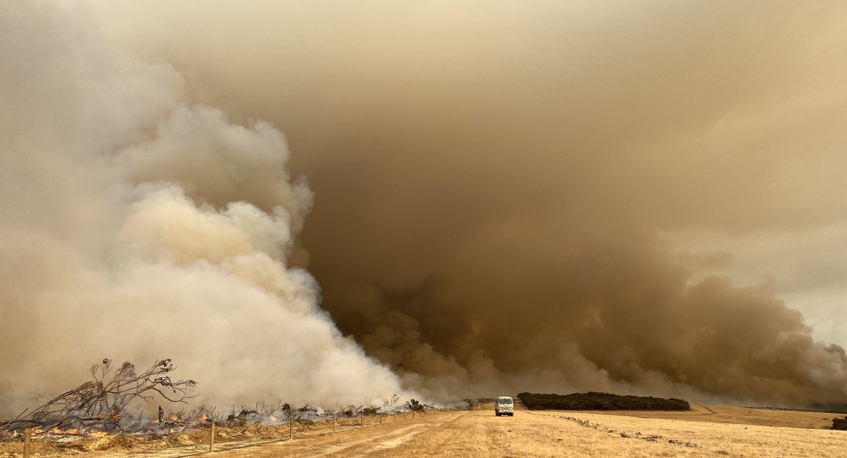 Australie feu feux incendie