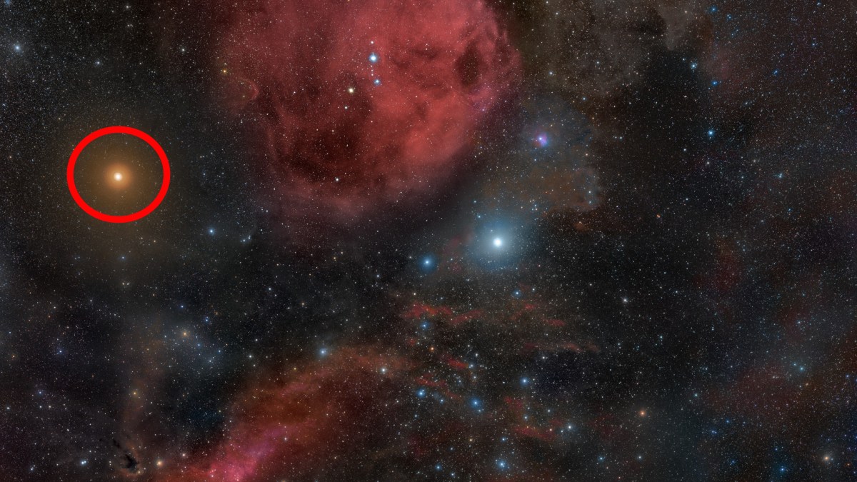 Bételgeuse dans la constellation d'Orion. // Source : Wikimedia/CC/Rogelio Bernal Andreo (photo recardée et modifiée)