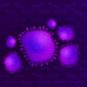 Le coronavirus nCov-2019 (illustration). // Source : Numerama / Claire Braikeh