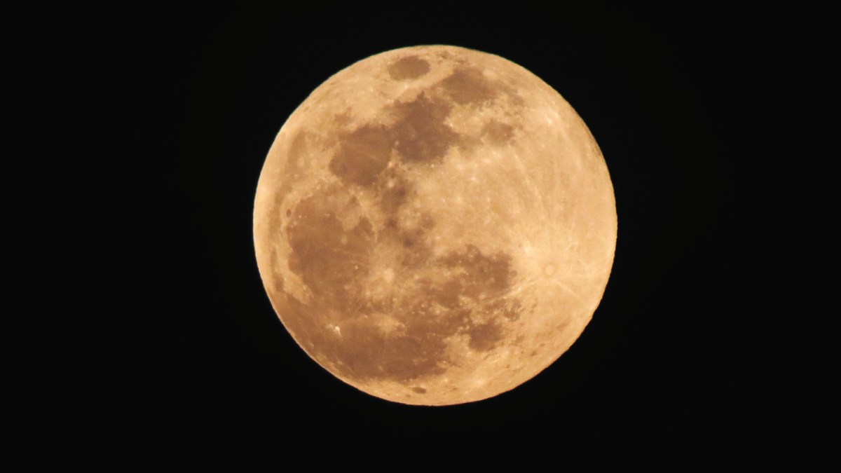 Une éclipse de Lune par la pénombre en 2013. // Source : Wikimedia/CC/Luisalvaz (photo recadrée)