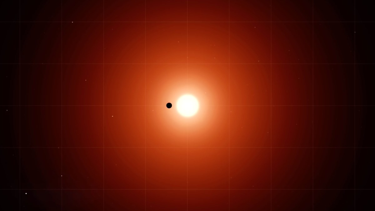 L'exoplanète TOI 700 d. // Source : Capture d'écran YouTube Nasa Goddard