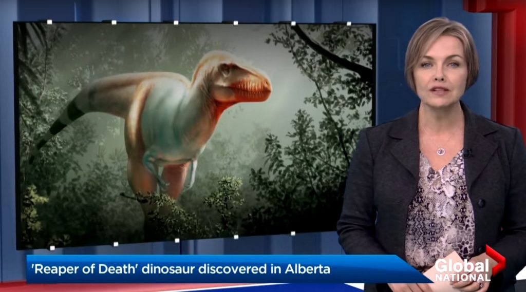 Cette espèce de tyrannosaure est la cinquième ayant vécu au Canada. // Source : Global