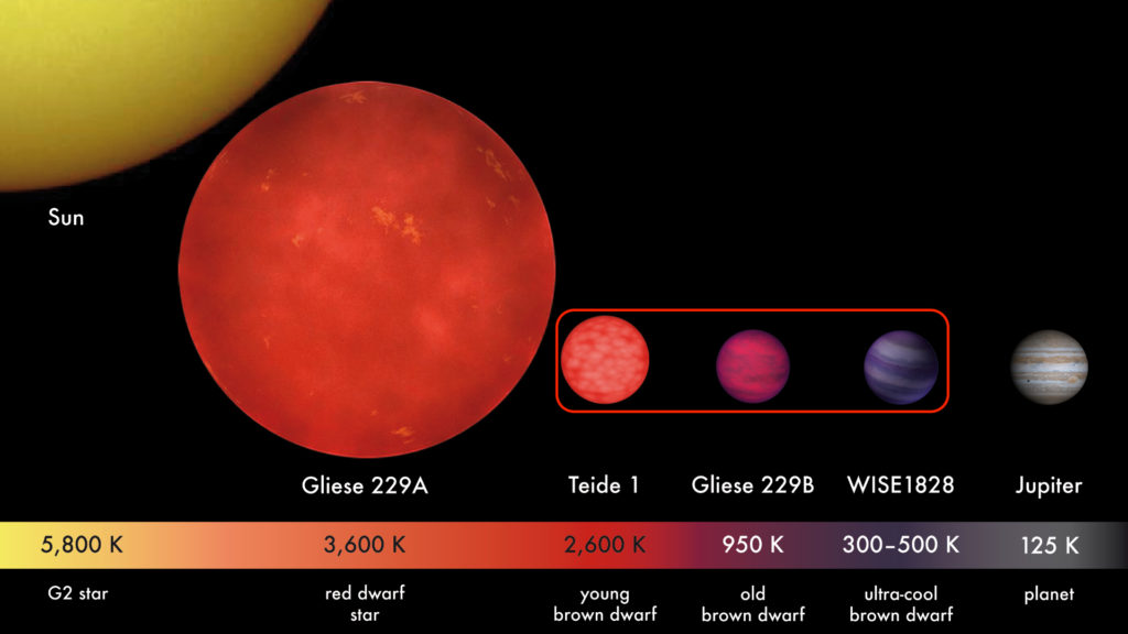 Comparaison entre des planètes, des étoiles et des naines brunes (dans l'encadré rouge). // Source : Wikimedia/CC/MPIA/V. Joergens (photo recadrée et annotée)