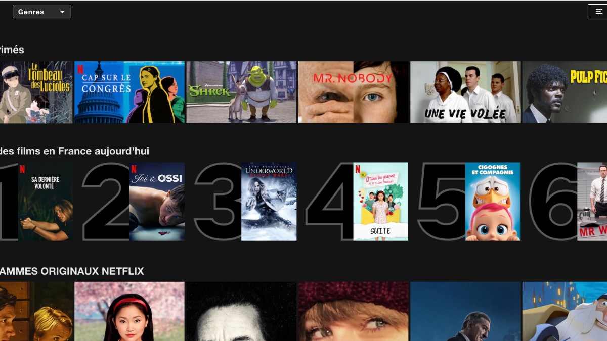 Capture d'écran de la page d'accueil Netflix