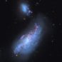 La galaxie NGC 4490. // Source : Wikimedia/CC/Jschulman555 (photo recadrée)