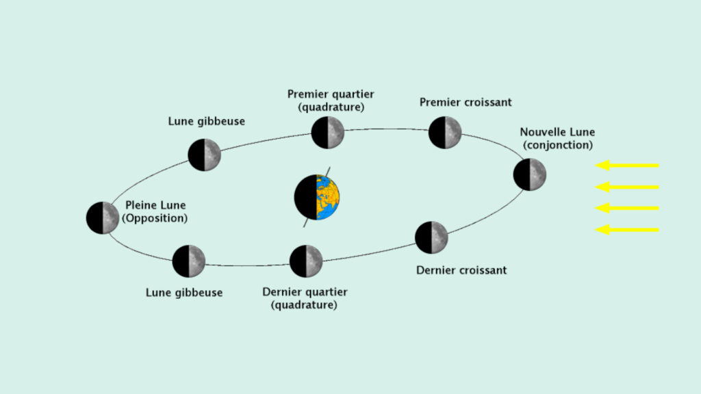 Les phases de la Lune. // Source : Wikimedia/CC/Looxix (photo recadrée et modifiée)