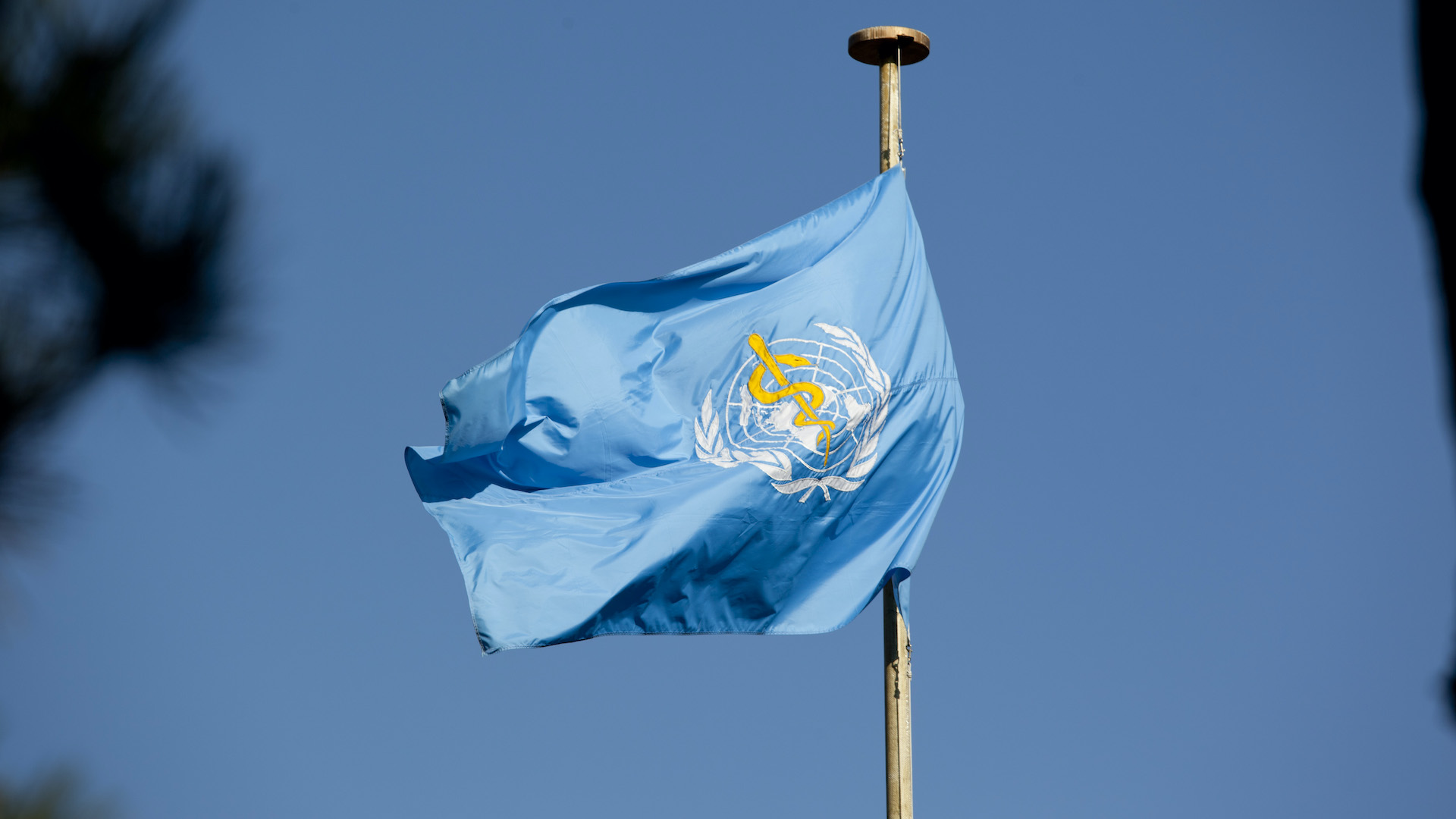 Le drapeau de l'OMS // Source : United States Mission Geneva