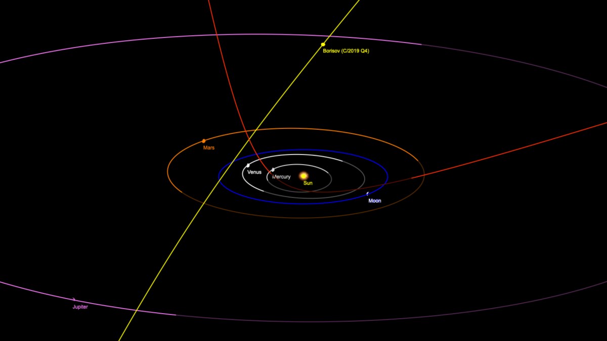 La position de la comète interstellaire Borisov dans le système solaire. // Source : Capture d'écran Orbitsimularor / Tony Dunn