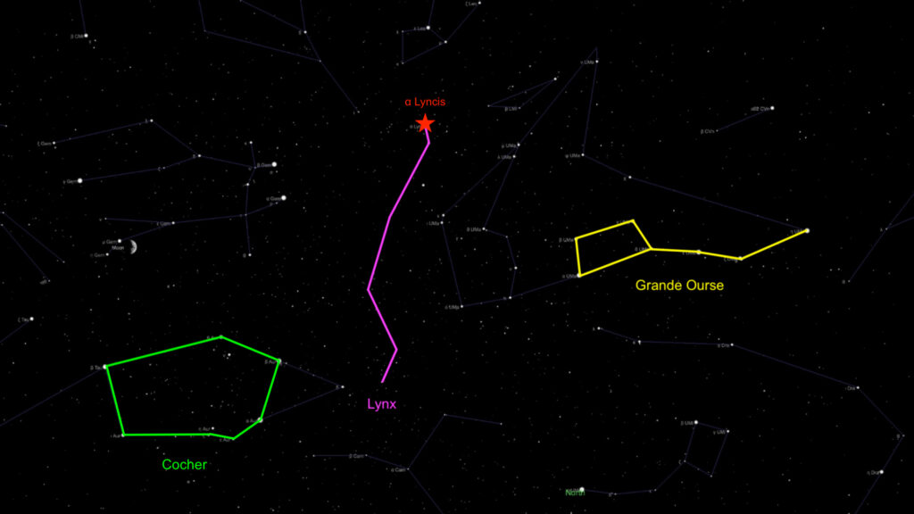 La constellation du Lynx. // Source : Capture d'écran The Sky Live, annotations Numerama