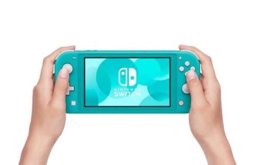 Nintendo Switch Animal Crossing New Horizons FR, Commandez facilement en  ligne