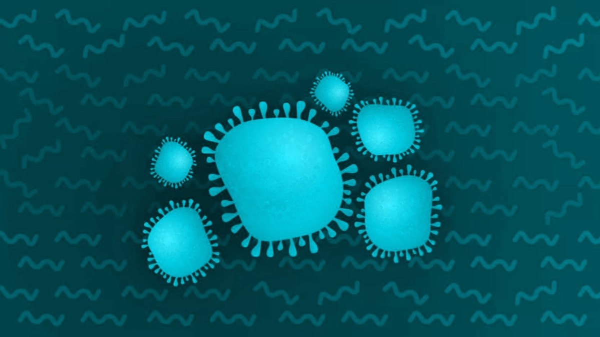 Illustration du coronavirus. // Source : Numerama / Claire Braikeh