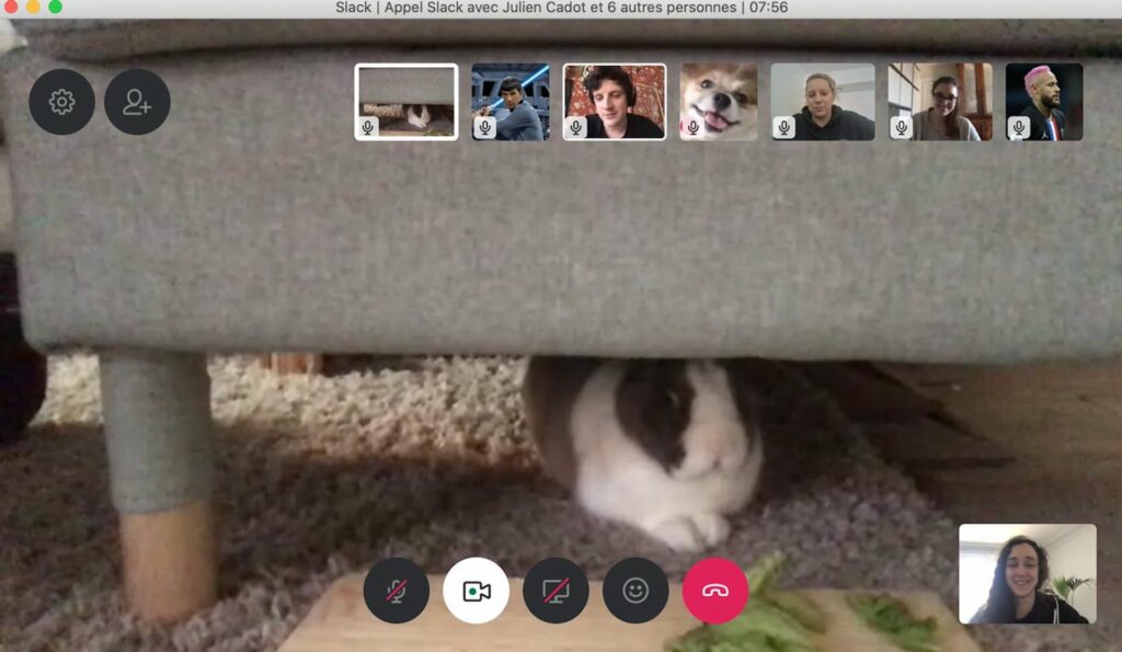 Une conversation Numerama (avec un lapin) Une conversation Numerama (avec un lapin)