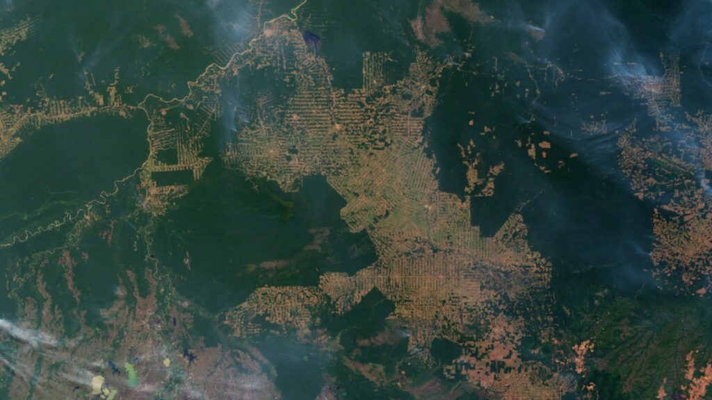 En vert, les zones boisées, et en marron, les zones déforestées. // Source : Image satellite de la Nasa