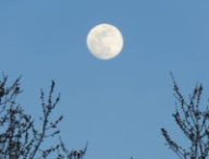 La Lune. // Source : Flickr/CC/Kaarina Dillabough (photo recadrée)
