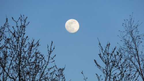 La Lune. // Source : Flickr/CC/Kaarina Dillabough (photo recadrée)